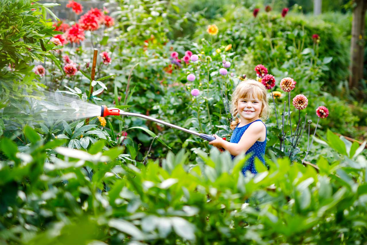 Watering Flowers