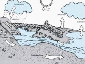 The Water Cycle