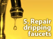 5. Repair dripping faucets